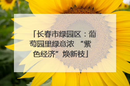 长春市绿园区：葡萄园里绿意浓 “紫色经济”焕新枝