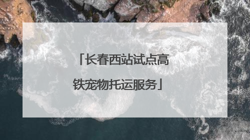 长春西站试点高铁宠物托运服务