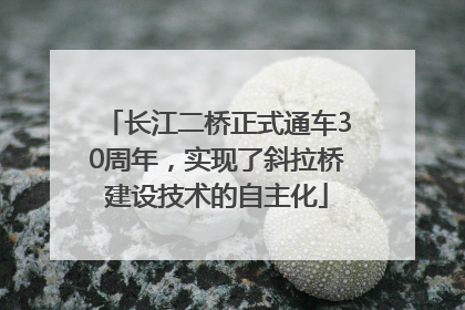 长江二桥正式通车30周年，实现了斜拉桥建设技术的自主化