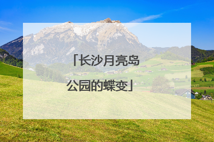 长沙月亮岛公园的蝶变