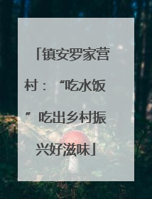 镇安罗家营村：“吃水饭”吃出乡村振兴好滋味