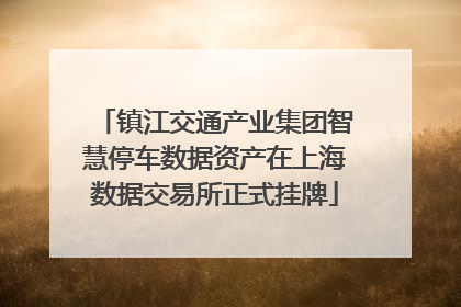 镇江交通产业集团智慧停车数据资产在上海数据交易所正式挂牌