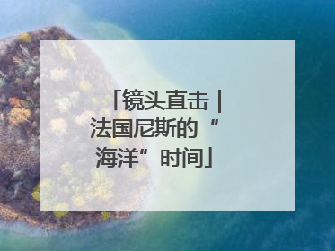 镜头直击｜法国尼斯的“海洋”时间