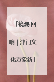 镜观·回响｜津门文化万象新