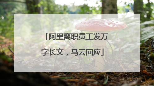 阿里离职员工发万字长文，马云回应