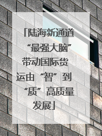 陆海新通道“最强大脑” 带动国际货运由“智”到“质”高质量发展