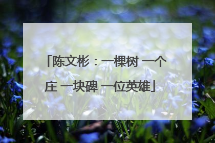 陈文彬：一棵树 一个庄 一块碑 一位英雄