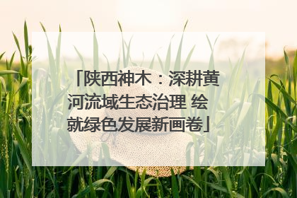 陕西神木：深耕黄河流域生态治理 绘就绿色发展新画卷