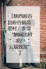 陕西府谷县府谷镇高梁村：乡货“触网出村” 农户“云端致富”