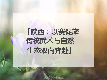 陕西：以赛促旅 传统武术与自然生态双向奔赴