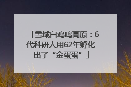 雪域白鸡鸣高原：6代科研人用62年孵化出了“金蛋蛋”