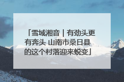 雪域湘音｜有劲头更有奔头 山南市桑日县的这个村落迎来蜕变