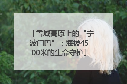 雪域高原上的“宁波门巴”：海拔4500米的生命守护