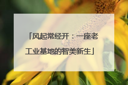 风起常经开：一座老工业基地的智美新生