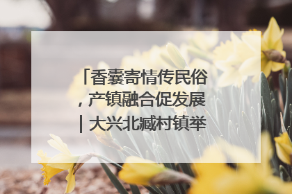 香囊寄情传民俗，产镇融合促发展｜大兴北臧村镇举办端午主题活动