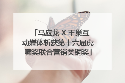 马应龙 X 丰巢互动媒体斩获第十六届虎啸奖联合营销类铜奖