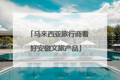 马来西亚旅行商看好安徽文旅产品
