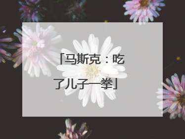 马斯克：吃了儿子一拳