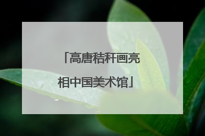高唐秸秆画亮相中国美术馆