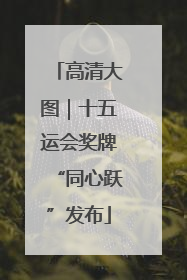 高清大图｜十五运会奖牌“同心跃”发布