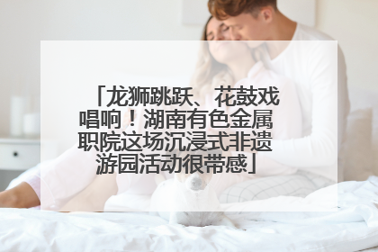 龙狮跳跃、花鼓戏唱响！湖南有色金属职院这场沉浸式非遗游园活动很带感