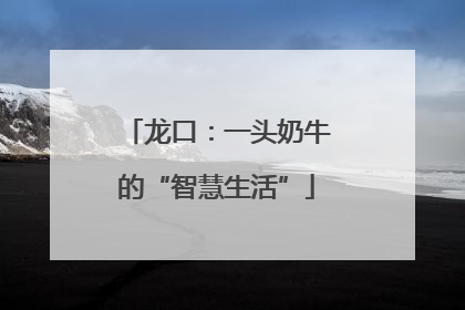 龙口：一头奶牛的“智慧生活”