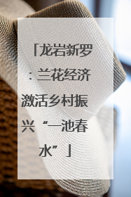 龙岩新罗：兰花经济激活乡村振兴“一池春水”