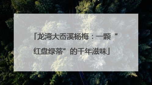 龙湾大岙溪杨梅：一颗“红盘绿蒂”的千年滋味