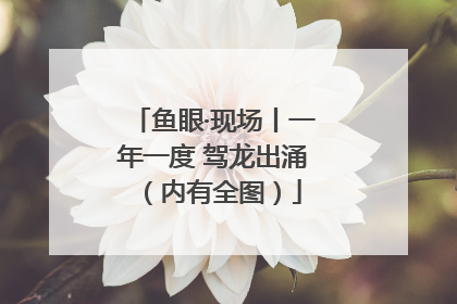 鱼眼·现场丨一年一度 驾龙出涌（内有全图）