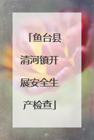 鱼台县清河镇开展安全生产检查