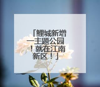 鲤城新增一主题公园！就在江南新区！