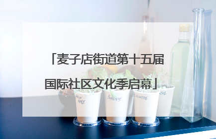 麦子店街道第十五届国际社区文化季启幕