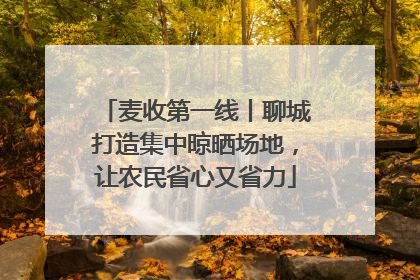 麦收第一线丨聊城打造集中晾晒场地，让农民省心又省力