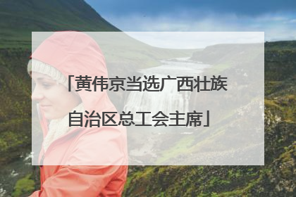 黄伟京当选广西壮族自治区总工会主席
