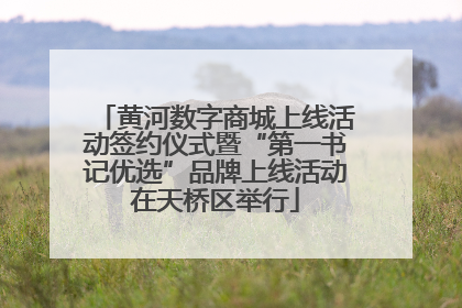 黄河数字商城上线活动签约仪式暨“第一书记优选”品牌上线活动在天桥区举行