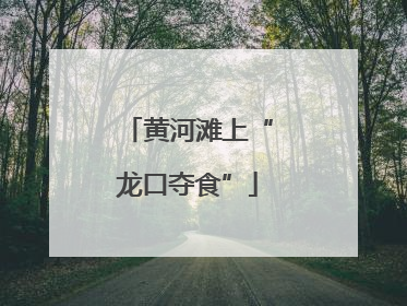黄河滩上“龙口夺食”