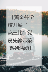 黄金谷学校开展“三亮三比”党员先锋示范系列活动