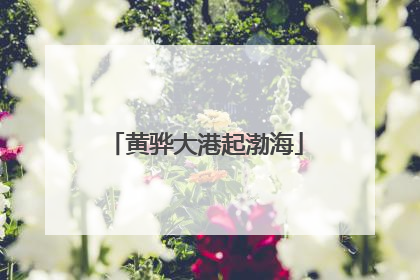 黄骅大港起渤海