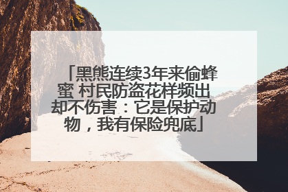 黑熊连续3年来偷蜂蜜 村民防盗花样频出却不伤害：它是保护动物，我有保险兜底