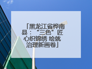 黑龙江省桦南县：“三色”匠心织锦绣 绘就治理新画卷