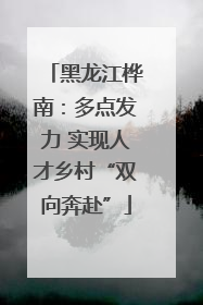 黑龙江桦南：多点发力 实现人才乡村“双向奔赴”