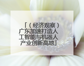 （经济观察）广东加速打造人工智能与机器人产业创新高地