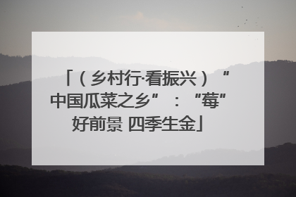 （乡村行·看振兴）“中国瓜菜之乡”：“莓”好前景 四季生金