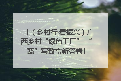 （乡村行·看振兴）广西乡村“绿色工厂” “蔬”写致富新答卷