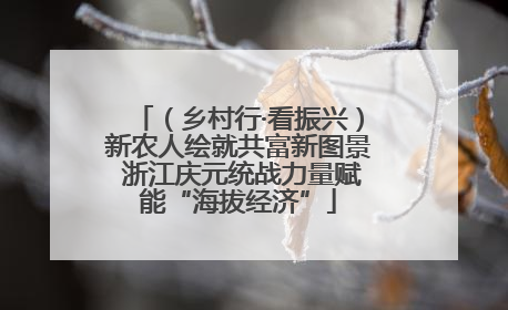 （乡村行·看振兴）新农人绘就共富新图景 浙江庆元统战力量赋能“海拔经济”