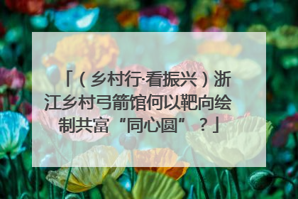 （乡村行·看振兴）浙江乡村弓箭馆何以靶向绘制共富“同心圆”？