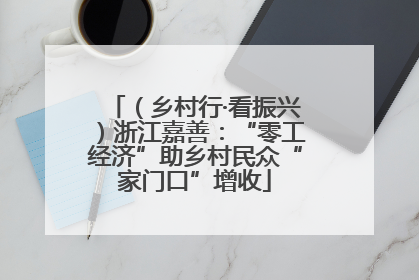 （乡村行·看振兴）浙江嘉善：“零工经济”助乡村民众“家门口”增收