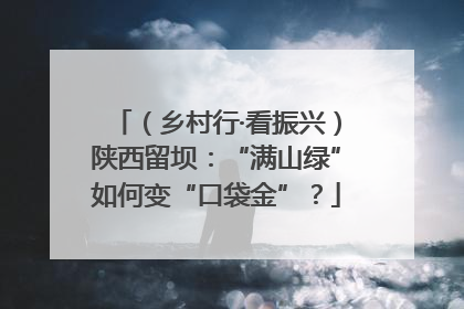 （乡村行·看振兴）陕西留坝：“满山绿”如何变“口袋金”？