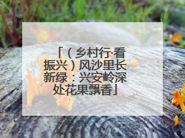 （乡村行·看振兴）风沙里长新绿：兴安岭深处花果飘香