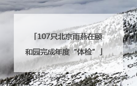 107只北京雨燕在颐和园完成年度“体检”